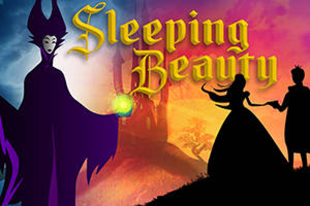 sleeping beauty logo 42220