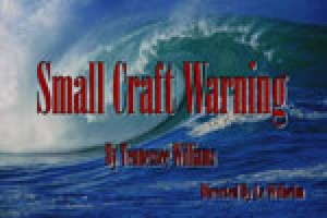 Small Craft Warnings