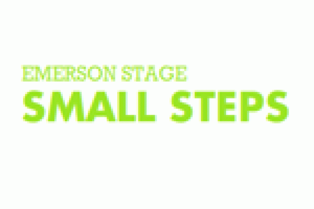 small steps logo 6802