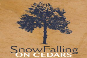 Snow Falling on Cedars