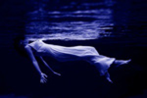 Song of the Seagull