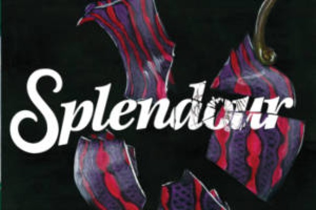 splendour logo 60305