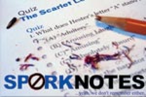 Sporknotes