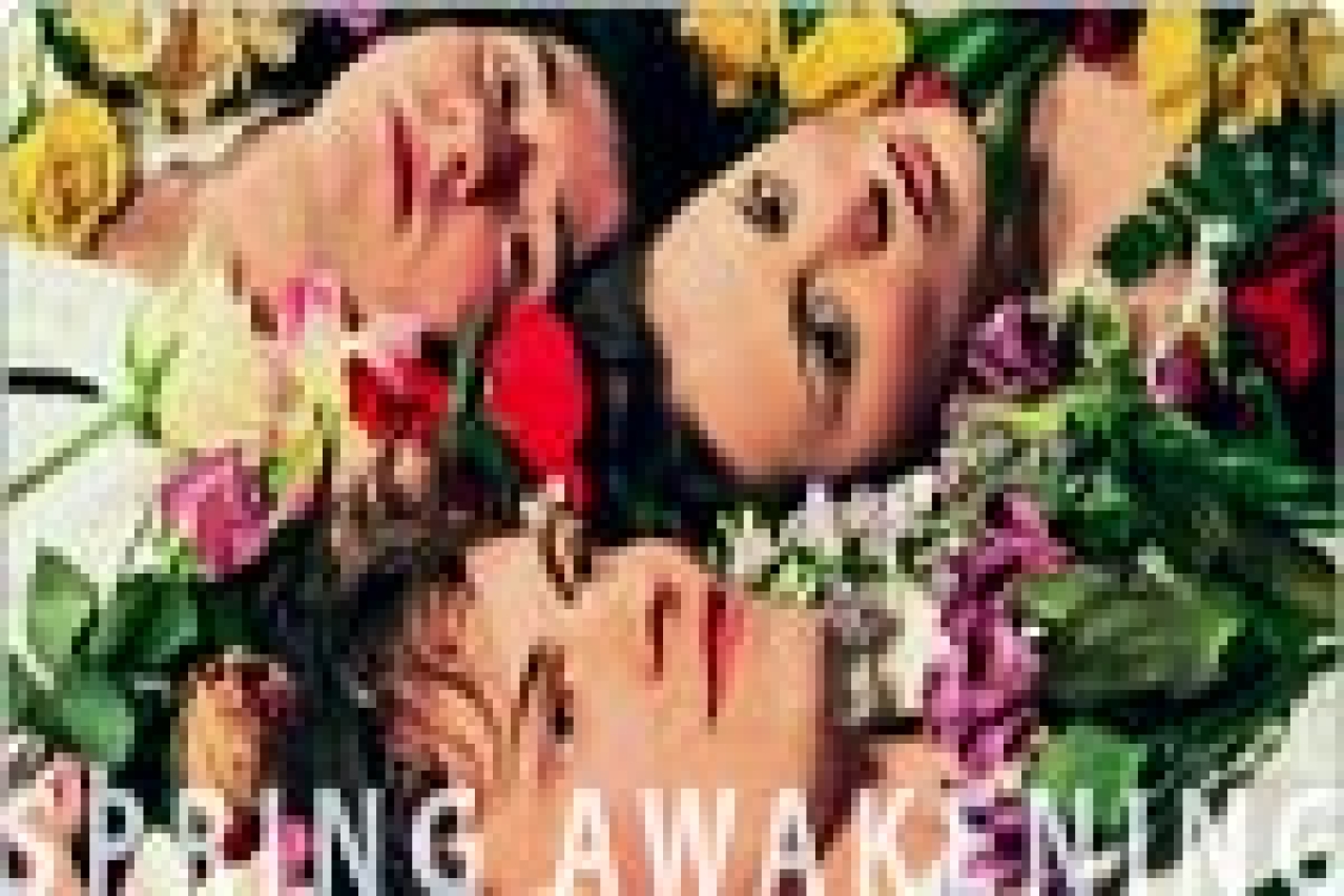 spring awakening logo 26180