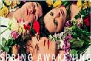 Spring Awakening