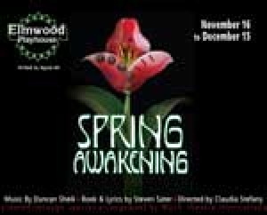 Spring Awakening