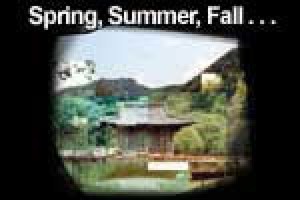 Spring, Summer, Fall, Winter… and Spring