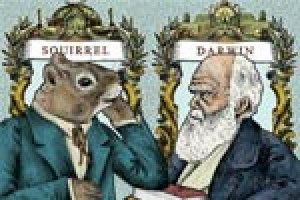 Squirrel, or The Origin of a Species