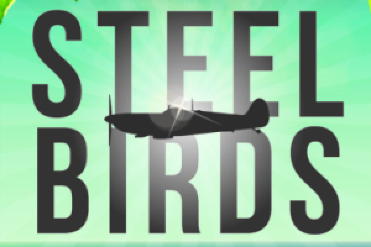 steel birds logo 55957 1