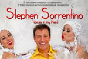 Stephen Sorrentino Voices in my Head