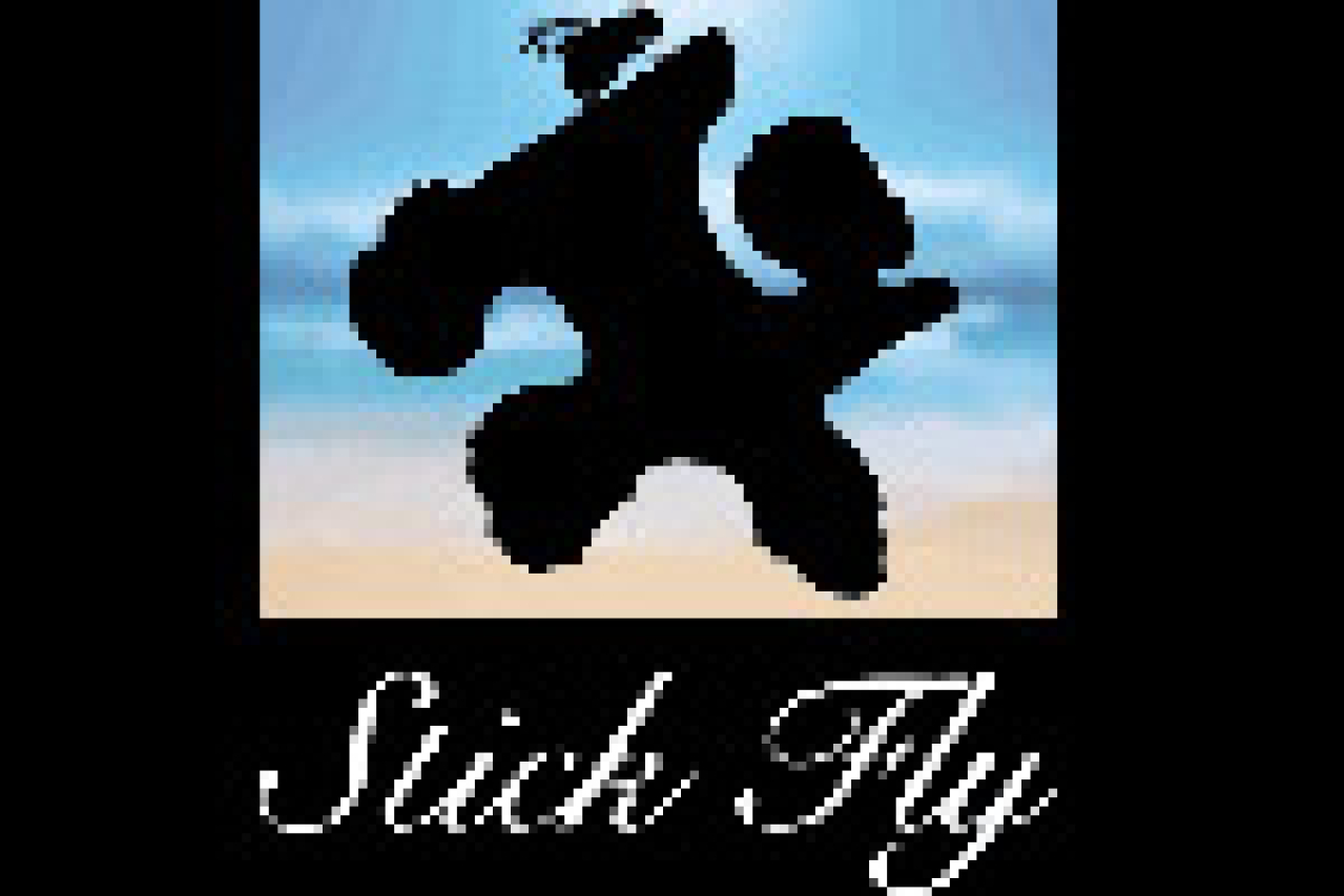 stick fly logo 21121