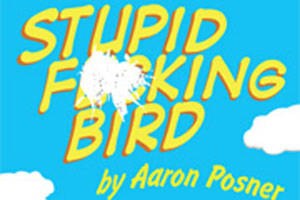 Stupid F*cking Bird