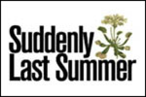 Suddenly Last Summer