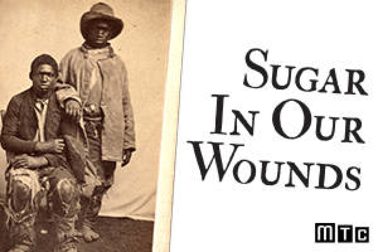 sugar in our wounds logo 67931