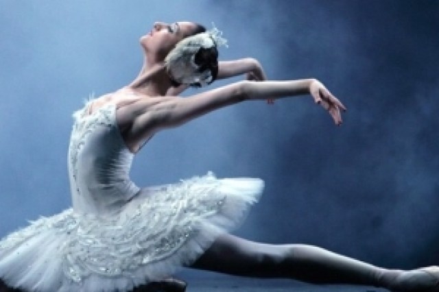 swan lake with the kenwood symphony orchestra logo 68639