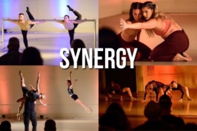 synergy ii logo 97269 1