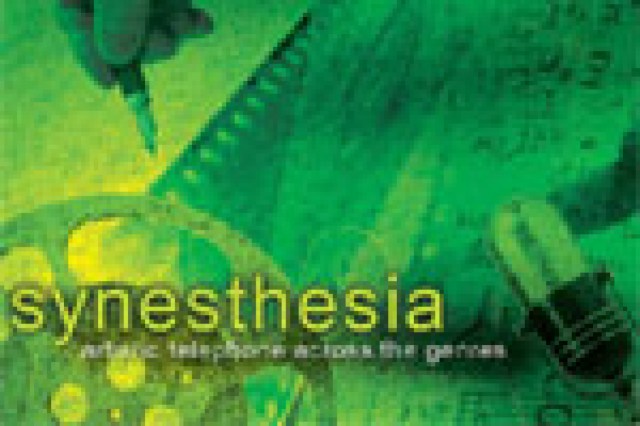 synesthesia logo 26286