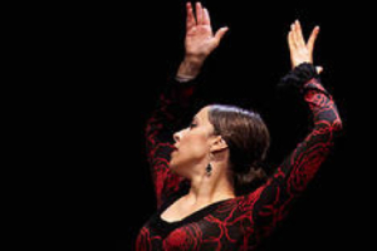 the 2015 new york state flamenco certamen logo 52314 1