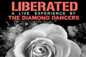 The 2016 Diamond Dancers Arts Showcase