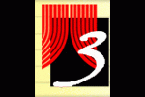 The 25th Annual Putnam County Spelling Bee