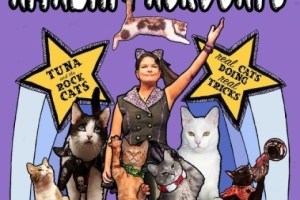 The Amazing Acro-Cats