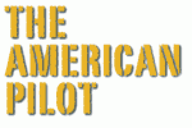 the american pilot logo 20982