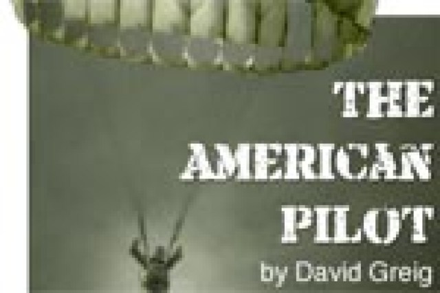 the american pilot logo 23528