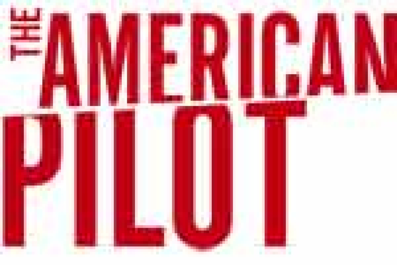 the american pilot logo 27317