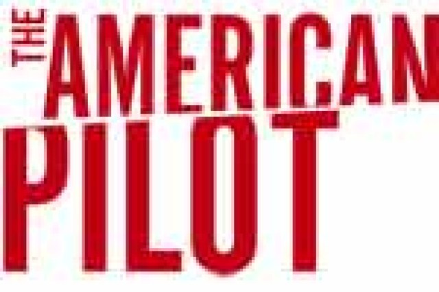 the american pilot logo 27317