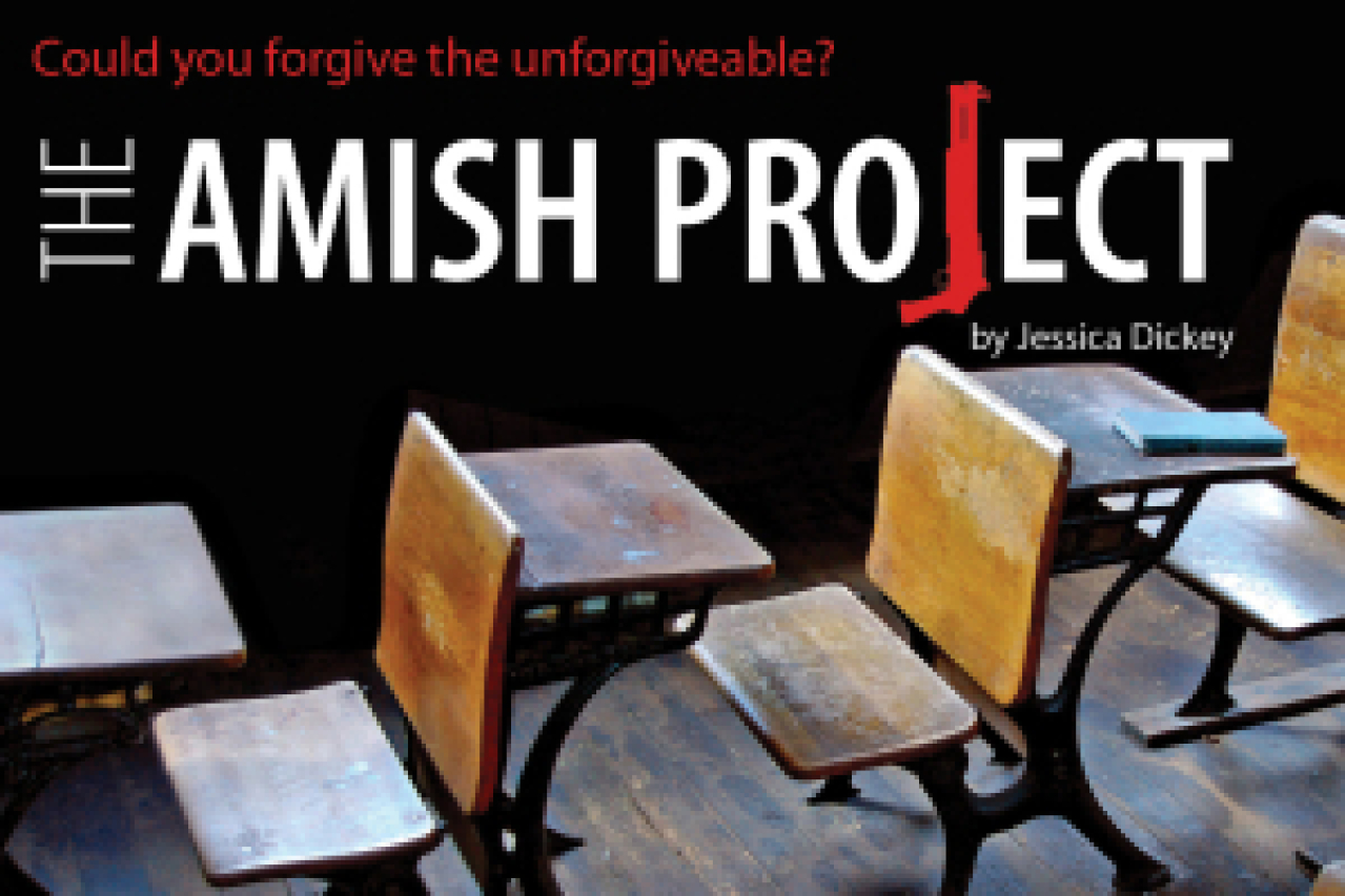 the amish project logo 37981 1
