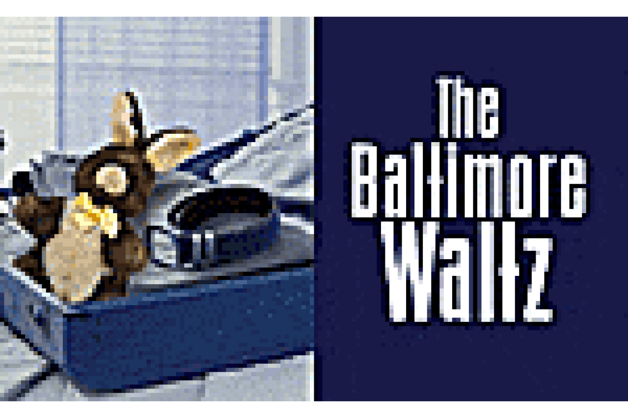 the baltimore waltz logo 2854