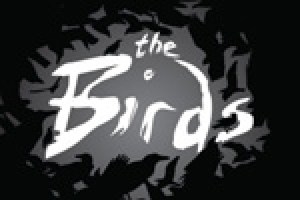 The Birds