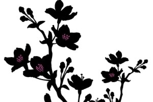The Cherry Orchard