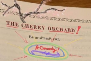 The Cherry Orchard!