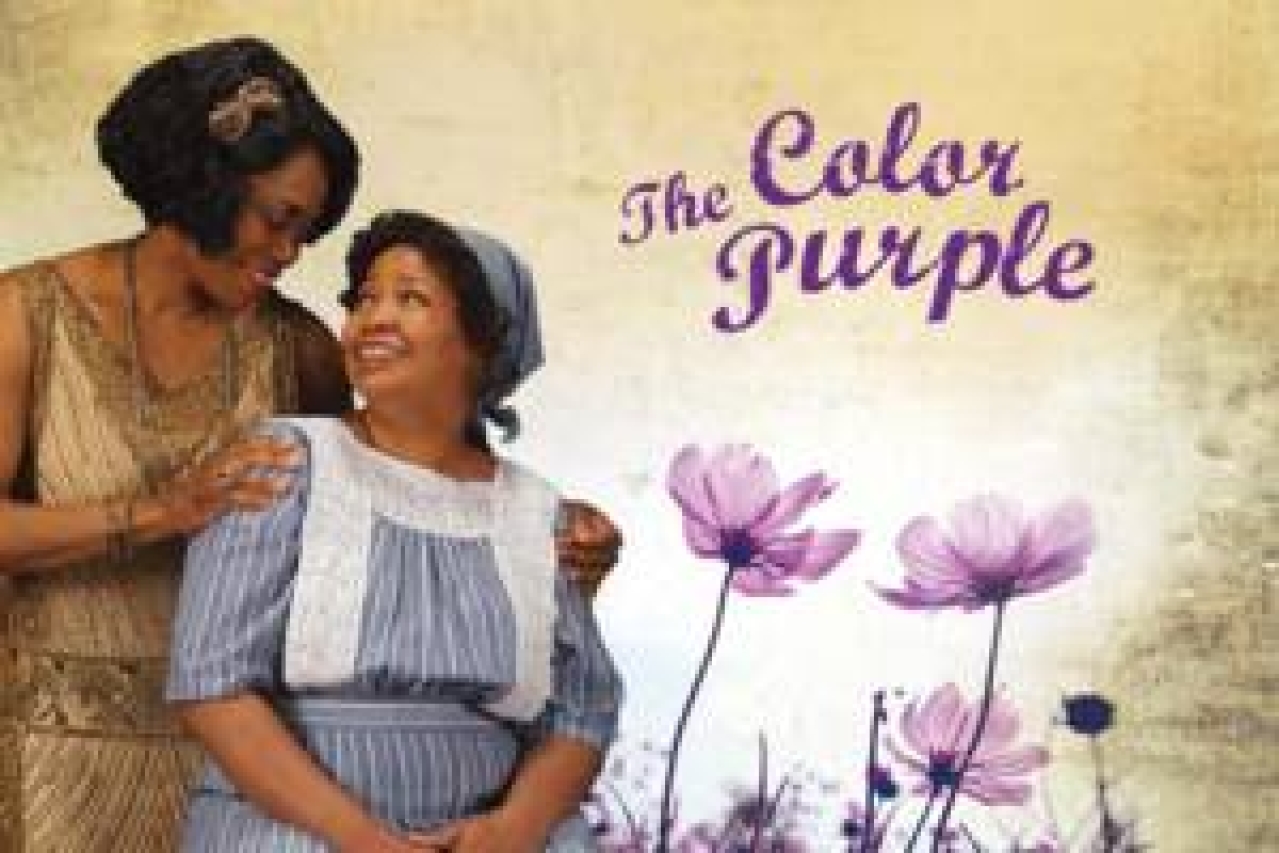 the color purple logo 41554