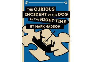 The Curious Incident of the Dog in the Night Time
