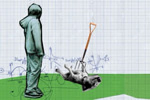 The Curious Incident of the Dog in the Night-time