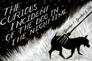 The Curious Incident of the Dog in the Night-Time
