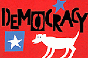The Democracy Project