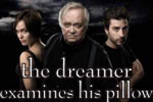 the dreamer examines his pillow
