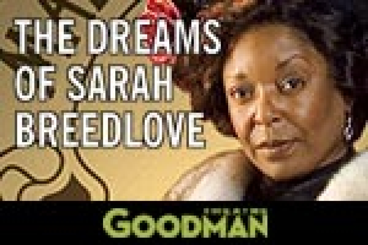 the dreams of sarah breedlove logo 28934