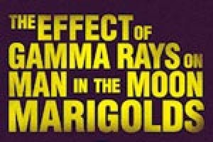 The Effect of Gamma Rays on Man-in-the-Moon Marigolds