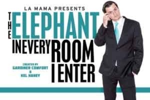 The Elephant in Every Room I Enter
