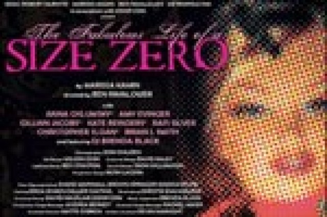 the fabulous life of a size zero logo 25482