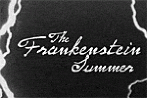 The Frankenstein Summer