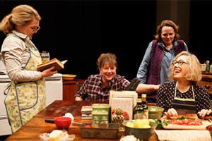 The Gabriels: Election Year in the Life of One Family