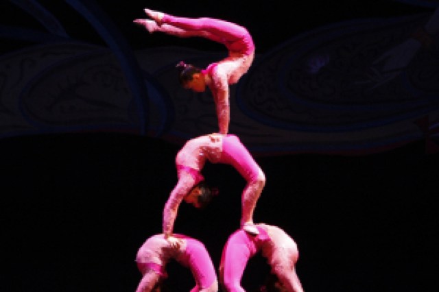 the golden dragon acrobats logo 65466