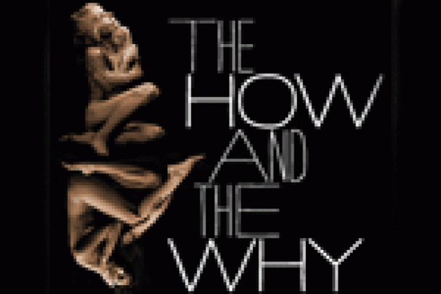 the how and the why logo 7513