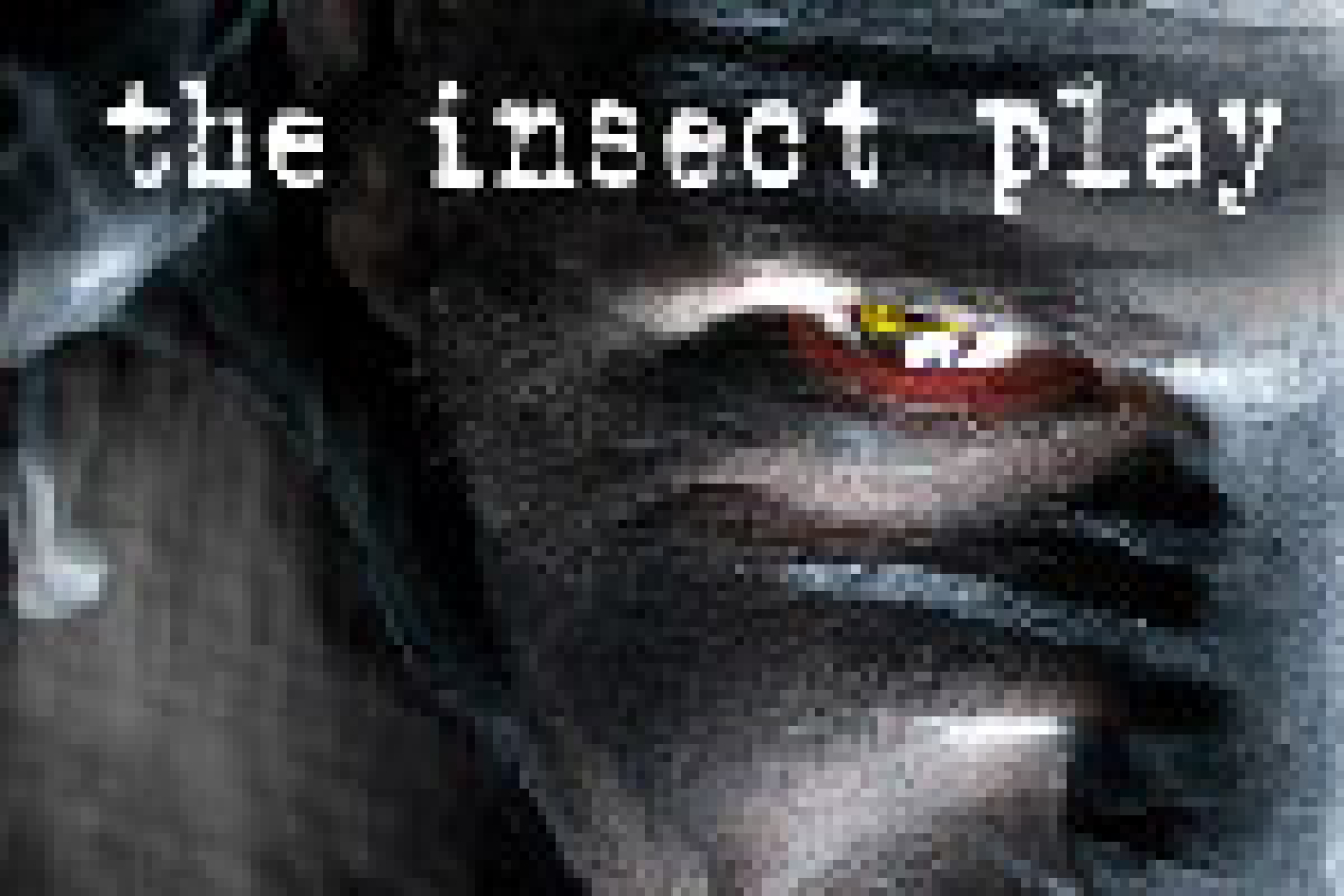 the insect play logo 21010