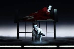 the life and death of marina abramovic logo 31256